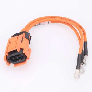 Charger automotive wiring
